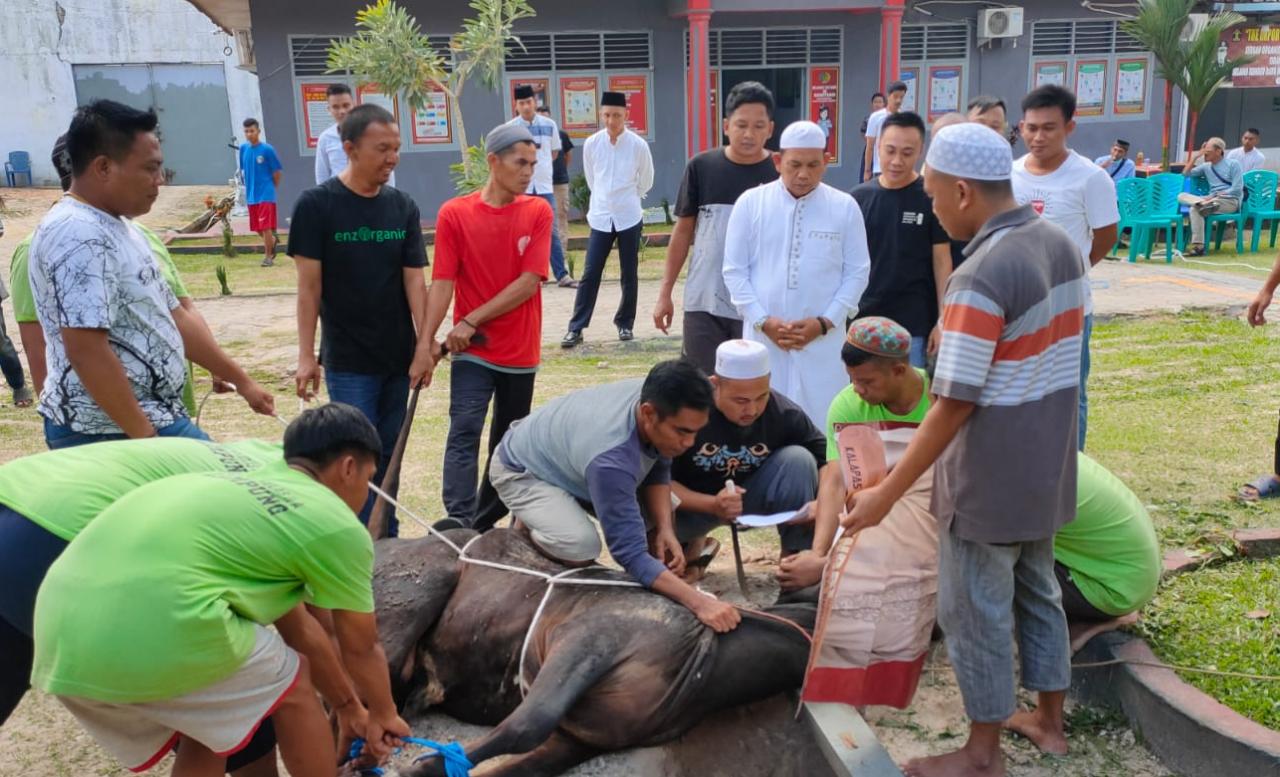 Idul Adha 1443 hijriah Lapas Narkotika Kelas IIA Bandar Lampung menggelar pemotongan Hewan Kurban / Saibetik.com