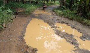 Jalan Dusun 8 Tanjung Baru Desa Mulang Maya, Kotabumi Selatan, Lampung Utara (Lampura) rusak parah sepanjang berkisar 3 kilometer itu belum tersentuh pembangunan selama lebih dari 10 tahun || Foto Saibetik.com