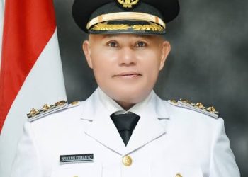 Demokrat Dukung Nanang di Pilkada Lamsel, Melinda Zulkifli Anwar Tersisih
