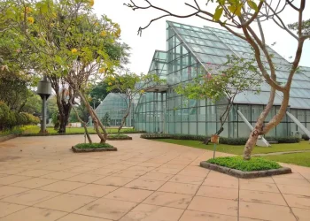 Taman Menteng: Oase Hijau di Tengah Jakarta