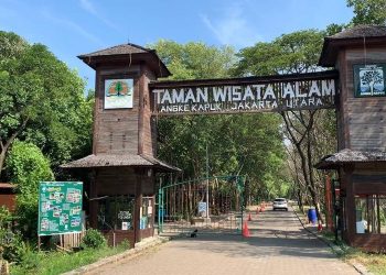 Taman Wisata Alam Mangrove Angke Kapuk: Sang Penjaga Lingkungan Jakarta