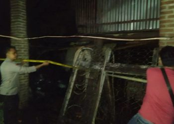 Kandang Ayam di Pringsewu Terbakar, Kerugian Capai Belasan Juta Rupiah