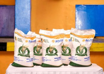 Peringatan Serius: Penerima Bansos Beras 10 Kg Akan Dicoret Jika Tidak Melakukan Ini