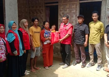 Sigap, Dinkes Lamsel Langsung Jenguk Adnan Juliananda, Balita Penderita Lumpuh Otak di Merbau Mataram