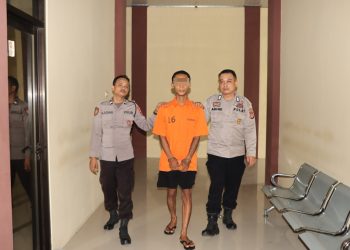 Gelapkan Motor dan HP Teman, Pria di Tangkap Polisi Saat Pulang Kampung