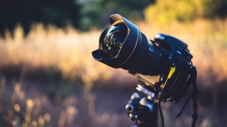 Menggali Kelemahan Google Foto yang Perlu Dipertimbangkan