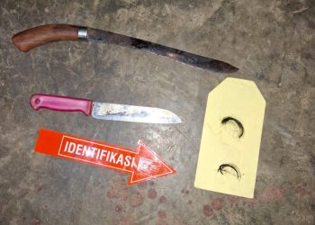 Ibu Nyaris Tewas Diserang oleh Anak Kandung, Diduga Gangguan Mental