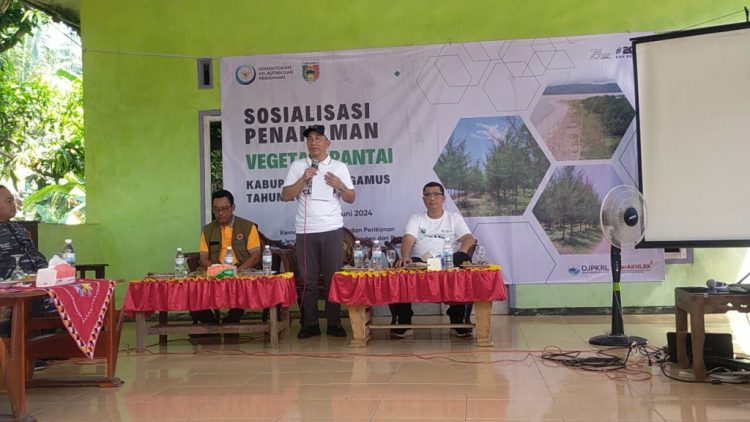 Penanaman Vegetasi Pohon Cemara di Pantai Sumil Dihadiri oleh PJ Bupati Tanggamus