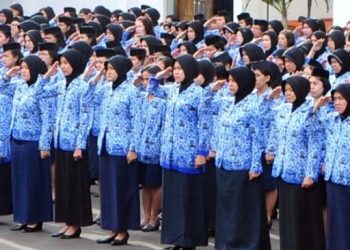 Kesempatan Karir: Formasi CPNS 2024 untuk Lulusan SMA/SMK di 9 Instansi