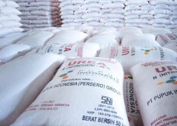 Pupuk Palsu? Hancurkan Mimpi Panen Melimpah!