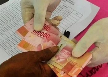 BLT Dana Desa: Percikan Bantuan, Membara Semangat Desa