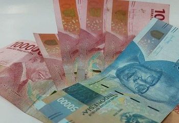 Sinar BLT Dana Desa: Menyinari Kehidupan di Pedesaan