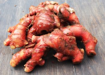 Si “Superfood” dari Dapur: Mengenal Manfaat Tersembunyi Jahe Merah