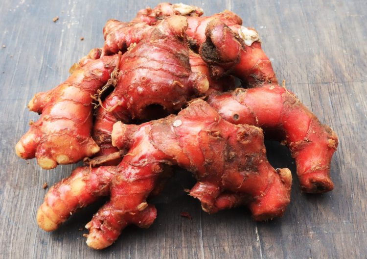 Si “Superfood” dari Dapur: Mengenal Manfaat Tersembunyi Jahe Merah