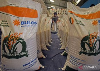 Bantuan Sosial Berupa Beras 10kg akan Dihentikan Mulai Juni 2024, Pemerintah Evaluasi Solusi Alternatif