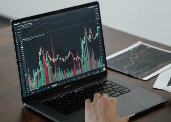 PENTING!Begini Panduan Trading bagi Pemula yang Perlu Diketahui
