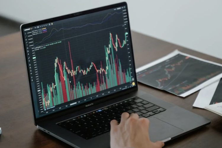 PENTING!Begini Panduan Trading bagi Pemula yang Perlu Diketahui
