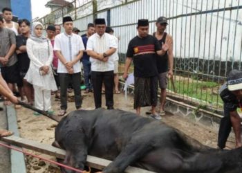 Rutan Sukadana Gelar Pemotongan Hewan Qurban pada Hari Raya Idul Adha 1445H