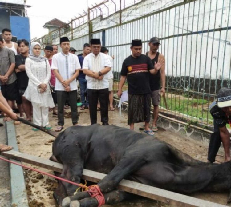 Rutan Sukadana Gelar Pemotongan Hewan Qurban pada Hari Raya Idul Adha 1445H
