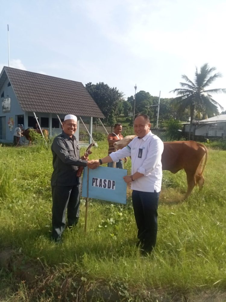 ASDP Bagikan 20 Sapi dan 100 Kambing Kurban di Seluruh Indonesia untuk Idul Adha 1445 H