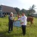 ASDP Bagikan 20 Sapi dan 100 Kambing Kurban di Seluruh Indonesia untuk Idul Adha 1445 H