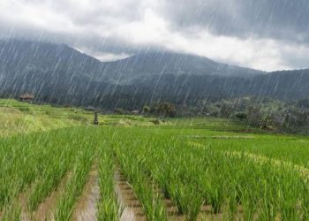 La Nina: Dampak Positif yang Membawa Harapan
