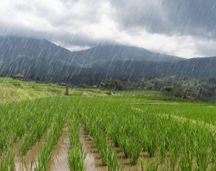 La Nina: Dampak Positif yang Membawa Harapan