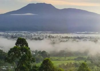 Mau Mendaki Gunung yang Ada di Lampung?Ini 4 Gunung Terkenal di Lampung yang Bisa Dijelajahi