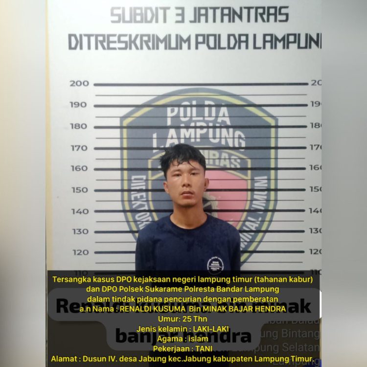 Buronan Kasus Senjata Tajam dan Pencurian Ditangkap di Lampung Timur