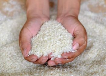 SAH!Ini Daftar Harga Eceran Tertinggi (HET) Beras Medium dan Premium Diseluruh Wilayah Indonesia