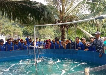 Pelatihan Ketahanan Pangan oleh TNI AL di Lanal Lampung