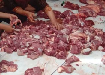 Peran Tukang Jagal dalam Idul Adha dan Upah yang Layak Mereka Terima