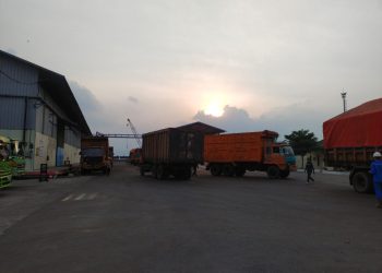 Dampak Polusi Debu dan Kutu Bungkil PT SJIM: Warga Karang Maritim Panjang Keluhkan Kesehatan Terancam