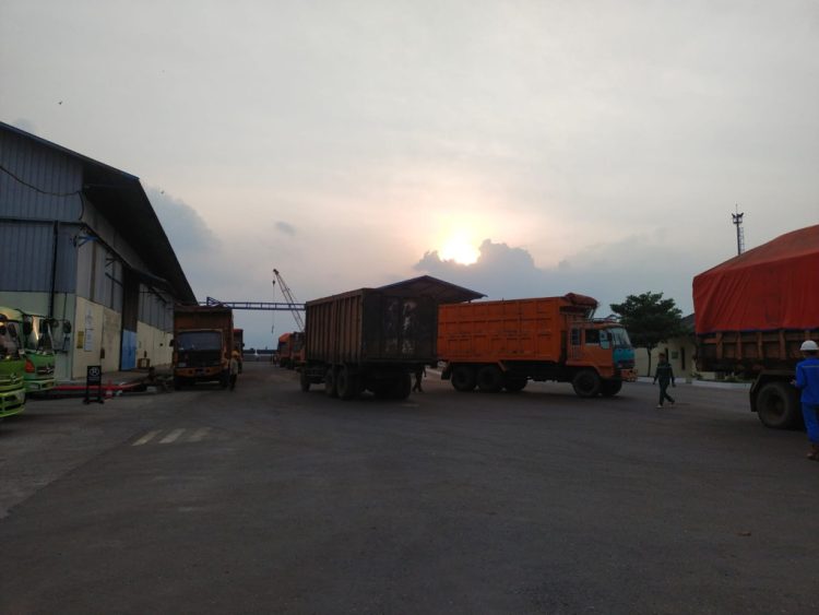 Dampak Polusi Debu dan Kutu Bungkil PT SJIM: Warga Karang Maritim Panjang Keluhkan Kesehatan Terancam