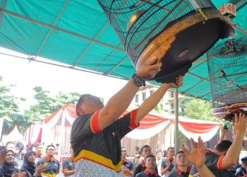 Lomba Burung Berkicau Kapolda Lampung Cup 2024: Mengajak Kicau Mania dalam Pemberantasan Perdagangan Ilegal Satwa Liar