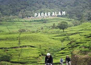 Dikenal dengan Udaranya yang Sejuk, Ini 5 Obyek Wisata Terkenal di Pagar Alam