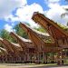 Punya Kebudayaan yang Unik, Ini Rekomendasi Obyek Wisata di Tana Toraja