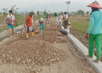 Program Dana Desa 2024: Pekon Wonosari Realisasikan Pembangunan Talud dan Penyabesa