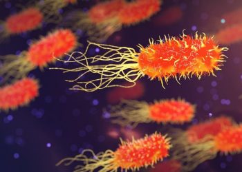 SEDANG VIRAL!Ini Karakteristik dan Penyebaran Bakteri Pemakan Daging yang Melanda Jepang