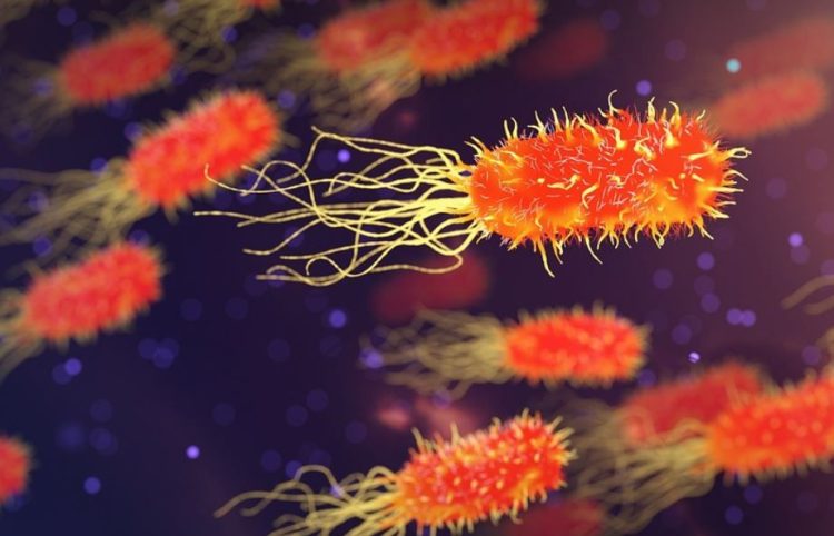 SEDANG VIRAL!Ini Karakteristik dan Penyebaran Bakteri Pemakan Daging yang Melanda Jepang