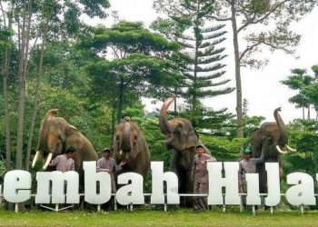 4 Rekomendasi Obyek Wisata Ramah Anak di Lampung