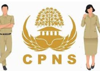 Persyaratan Pendaftaran Seleksi CPNS 2024: Pastikan Anda Memenuhinya!