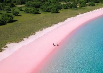 Pink Beach yang Memukau, Opsi lain Traveling ke Pulau Komodo