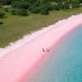 Pink Beach yang Memukau, Opsi lain Traveling ke Pulau Komodo