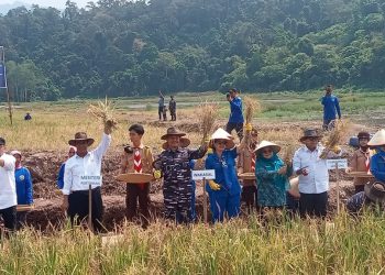 Amran dan Wakasal Sambut Sukses Panen Besar TNI AL di Lampung