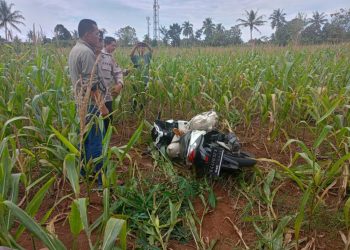 Penemuan Tragis di Lampung Timur: Mayat Perempuan Ditemukan dalam Karung di Ladang Jagung”