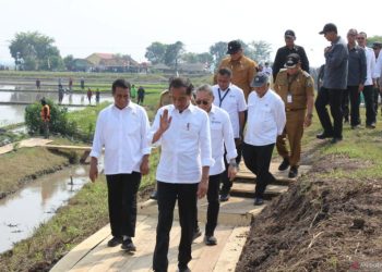 Jokowi ke Lamsel, Elektabilitas Radityo Egi Pratama Makin Moncer