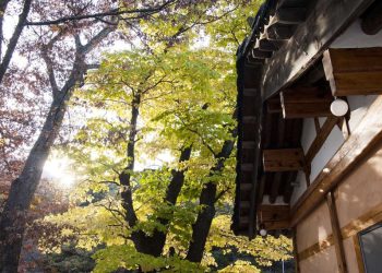 DAEBAK!10 Tips Liburan Hemat ketika Berkunjung ke Korea Selatan