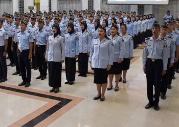 Ini Daftar 40 Pemerintah Daerah yang Sudah Umumkan Formasi CPNS dan PPPK Tahun 2024