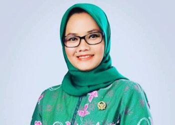 Ela Borong Parpol, Dawam Rahardjo Masih Berpeluang di Pilkada Lamtim